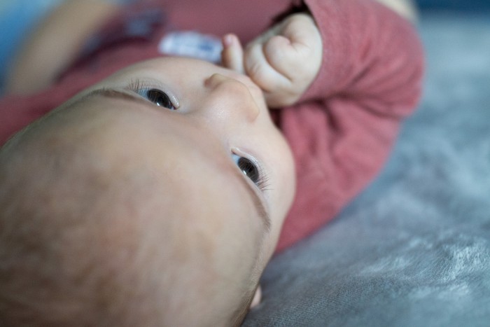 natuerliches babyshooting jena natuerliches babyshooting jena